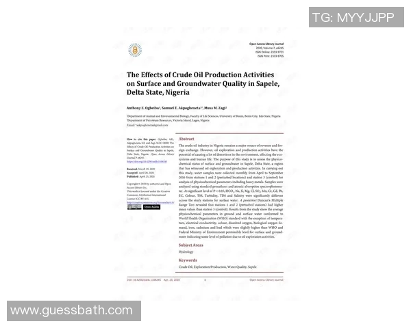 捷克与尼日利亚最新对战动态分析及比赛前瞻